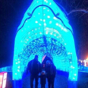 Meet your Posher, Desiree